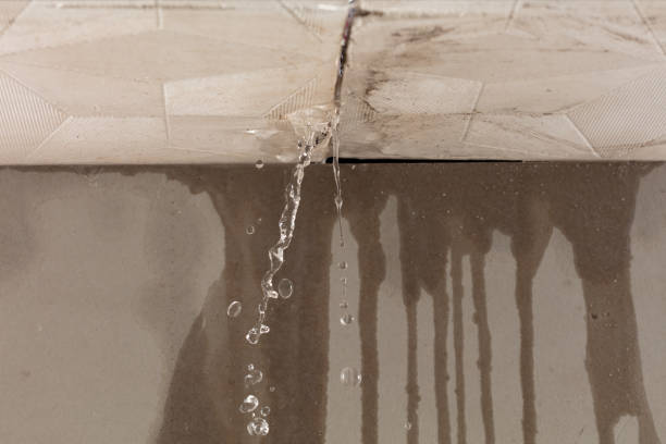 Professional Burst Pipe Cleanup technician working in Gowrie, IA